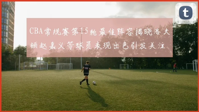CBA常规赛第15轮最佳阵容揭晓洛夫顿赵嘉义等球员表现出色引发关注